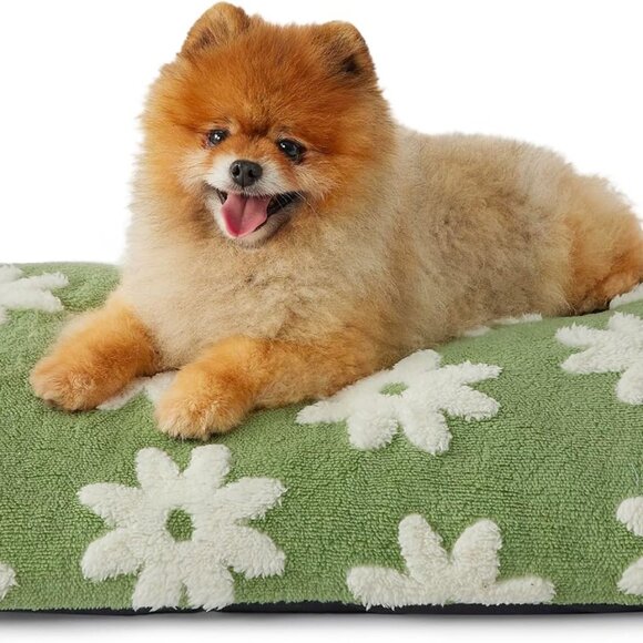 Small Dog Beds-Thick Shredded Chopped Foam Pet Bed Indoor with Removable Cover - Picture 3 of 4